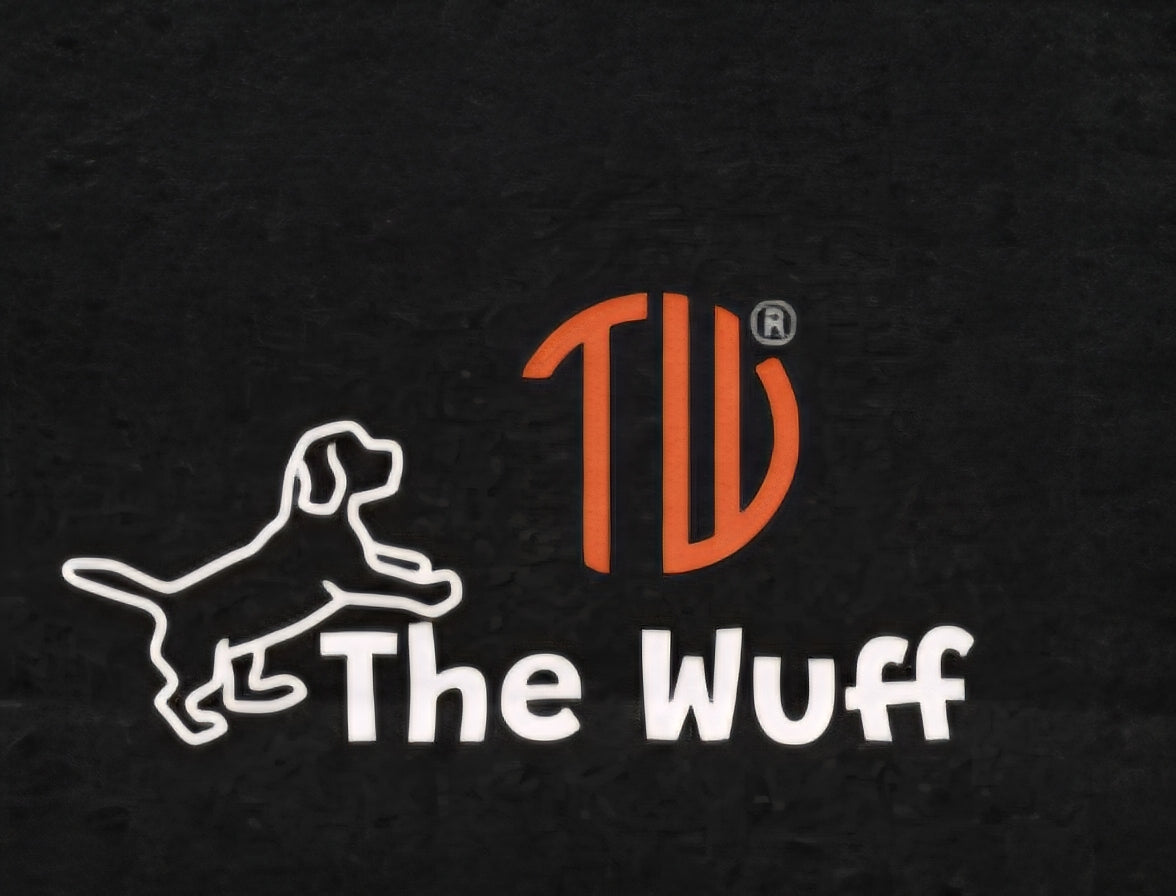 D.o.g.24/7 Alltagstuch