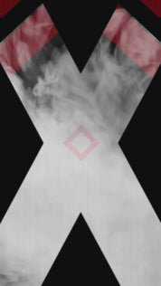 Premium Bio-Hoodie "Double Impact"