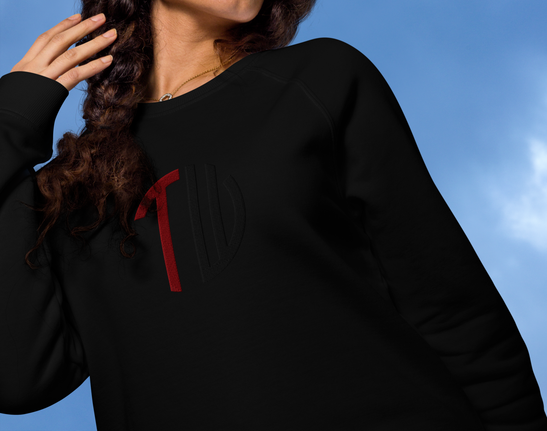 Premium Pullover "Double Impact"