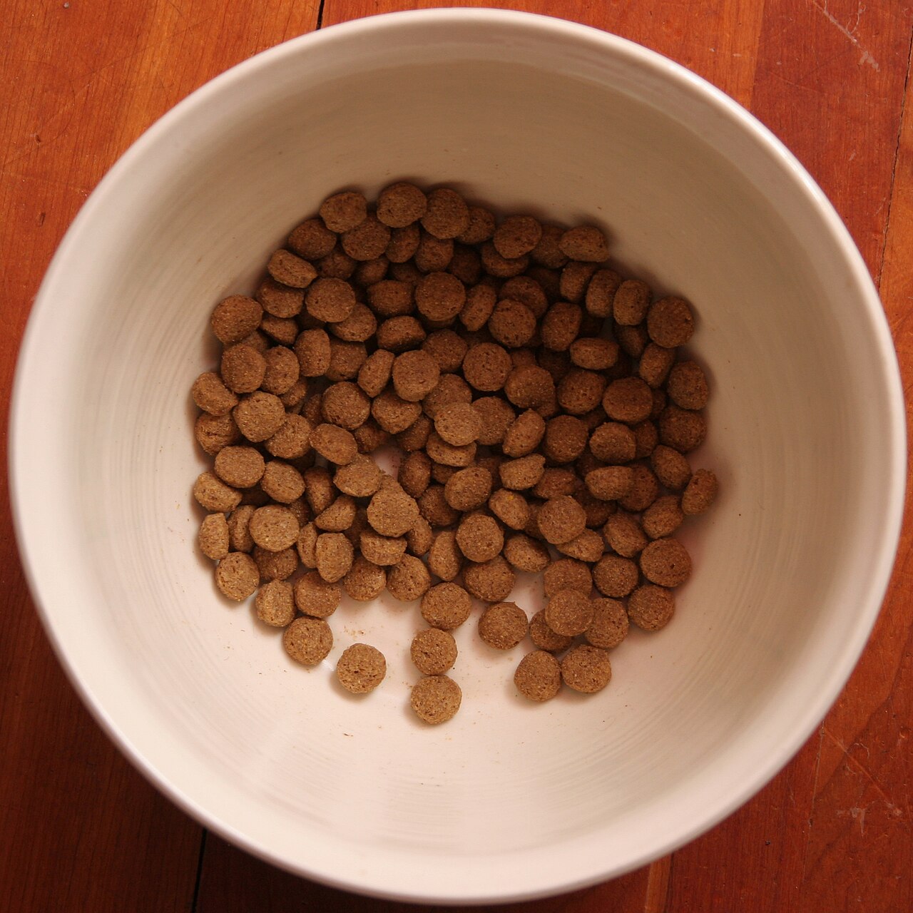 A bowl of dry dog kibble